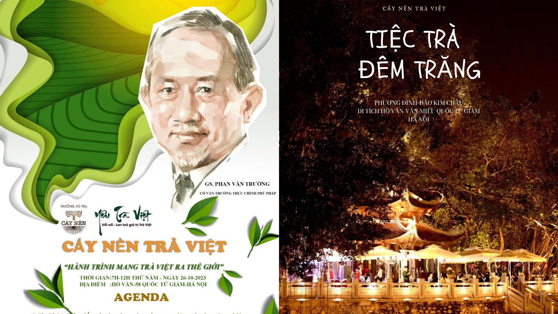 Hành trình mang trà Việt ra thế giới