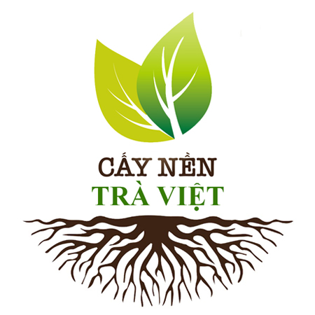 Cấy Nền Trà Việt